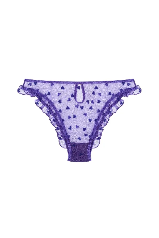 stretch lace panties with a sheer overlay for a seductive appealAMOUR Briefs