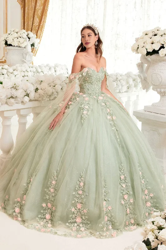 Women's Shawl Collar DressesSparkling Sage Floral Blush Ball Gown Quinceanera Dress Ball Gown Quinceanera Dresses Princess Dress Party Dress with Cape